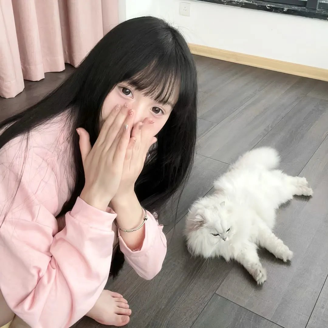 李佩西与五大王国的守护者